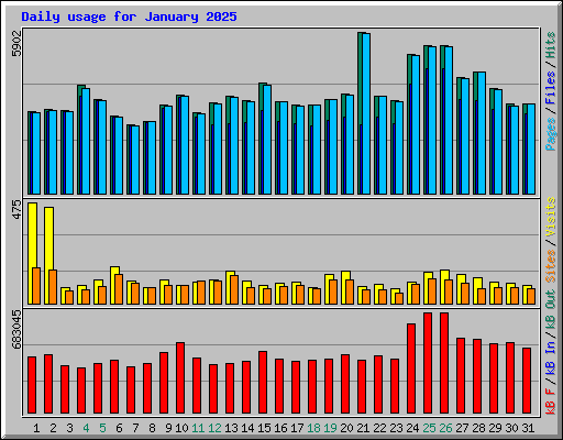 Daily usage for January 2025