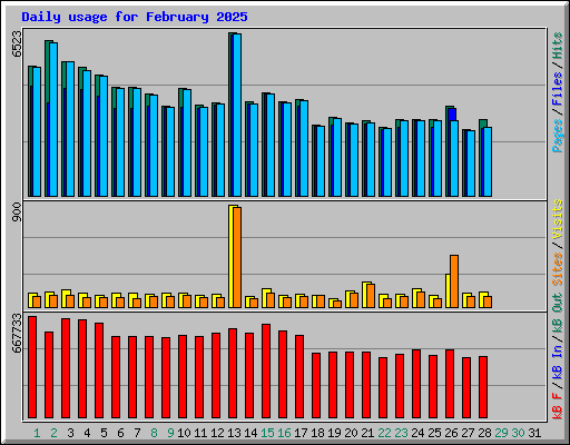 Daily usage for February 2025