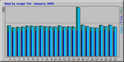 Hourly usage for January 2025