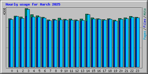 Hourly usage for March 2025