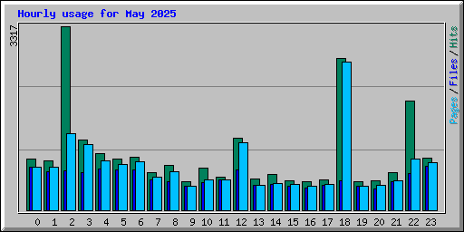 Hourly usage for May 2025