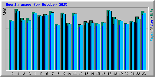 Hourly usage for October 2025