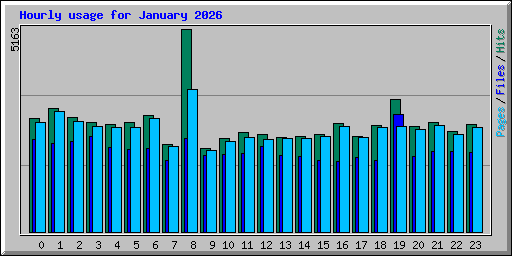 Hourly usage for January 2026